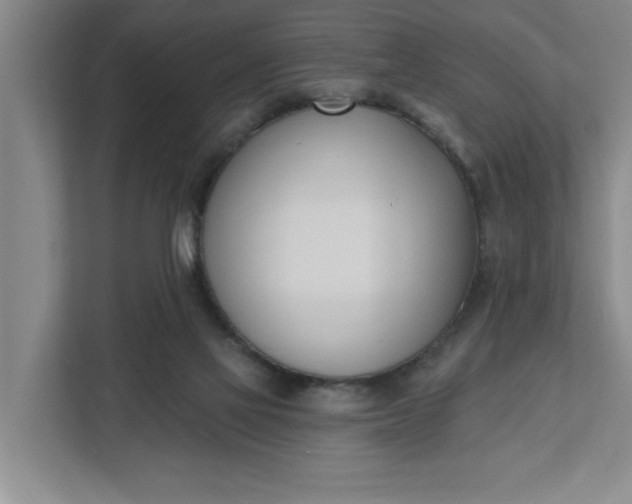 X0000112390069200908271348