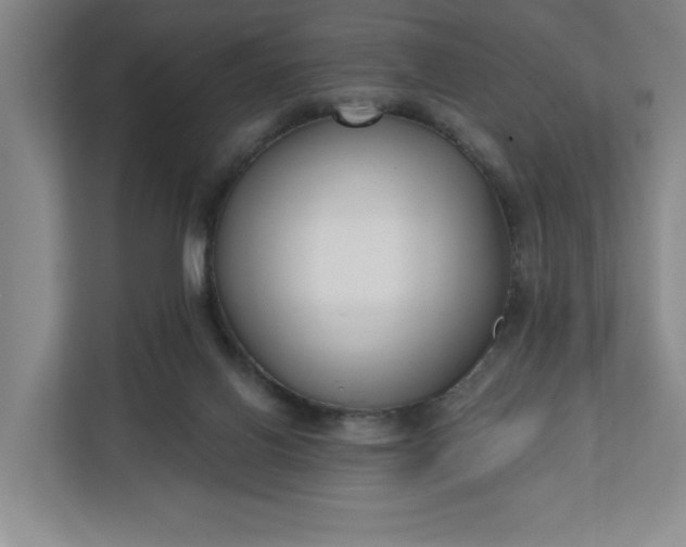 X0000112390070200908271348