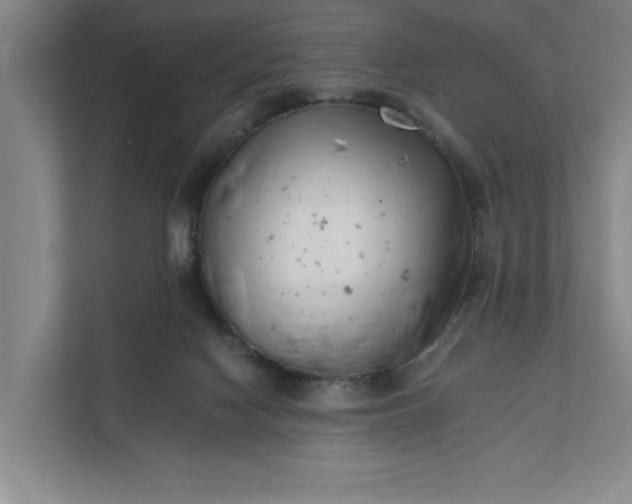 X0000112390074200908271348