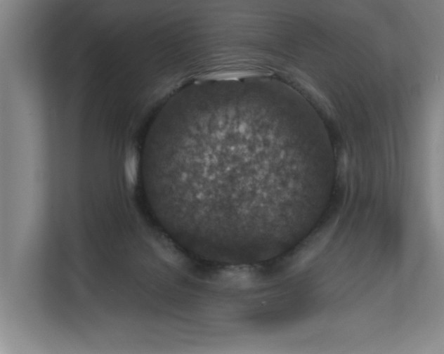 X0000112390076200908271348