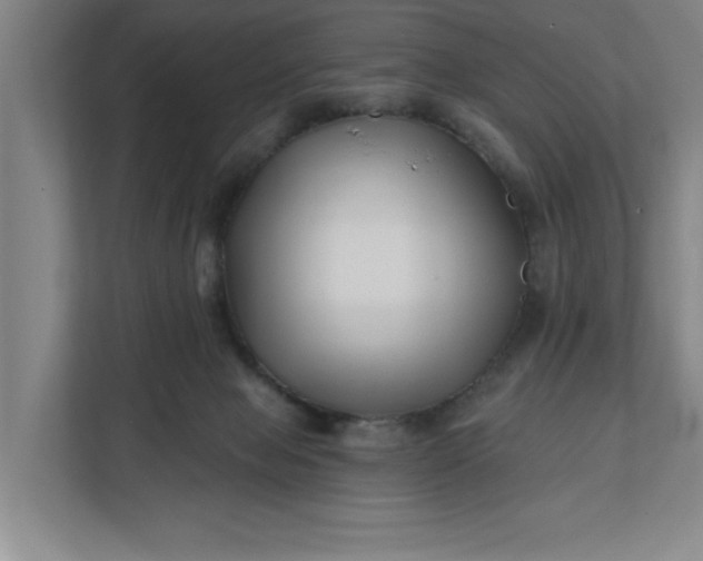 X0000112390077200908271348