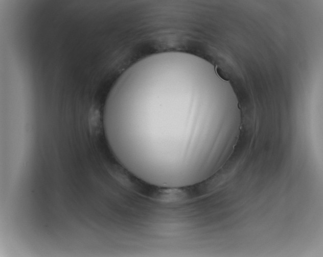 X0000112390087200908271348