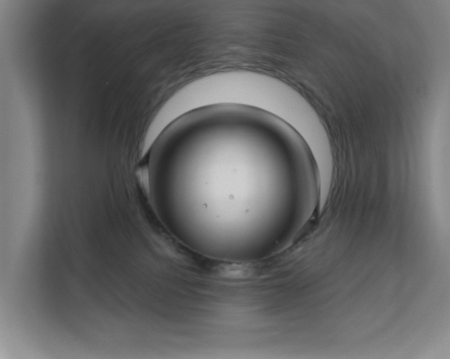 X0000112390088200908271348