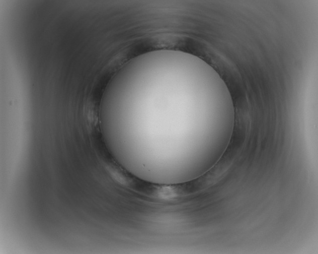 X0000112390091200908271348