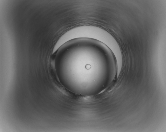 X0000112390092200908271348