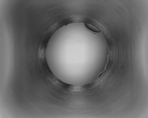 X0000112390093200908271348