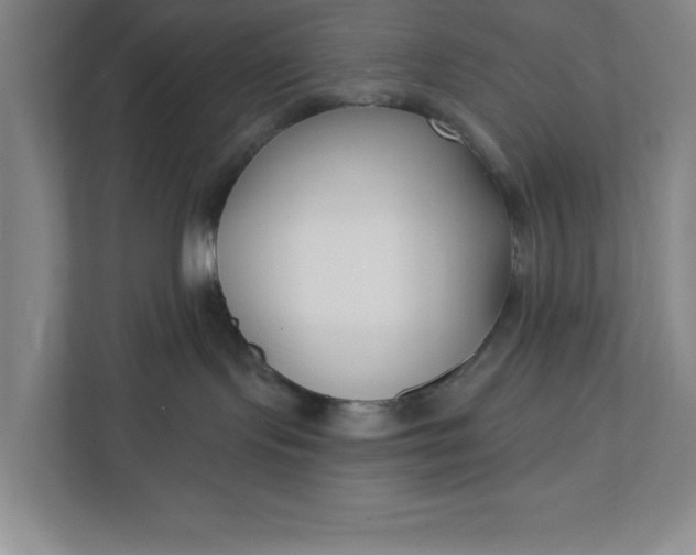 X0000112390095200908271348