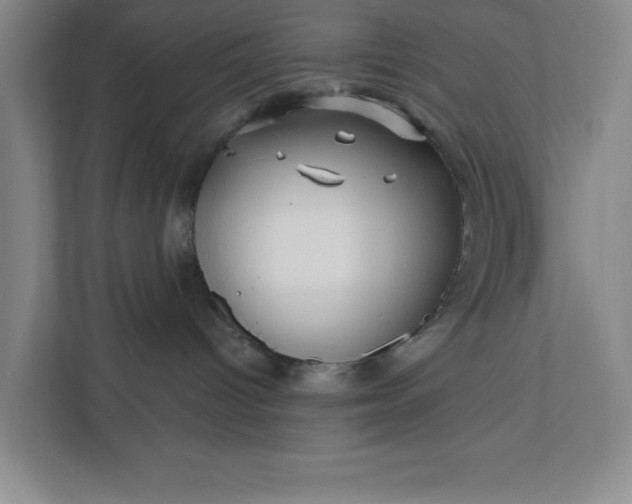 X0000112390096200908271348