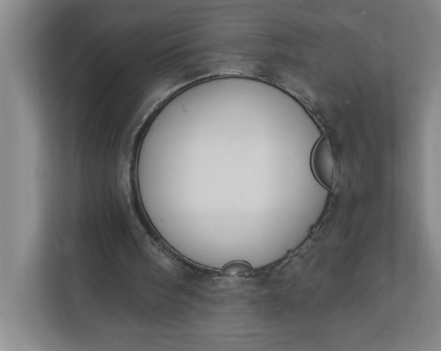 X0000112390098200908271348