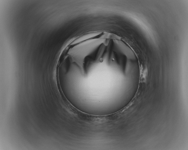 X0000112390099200908271348