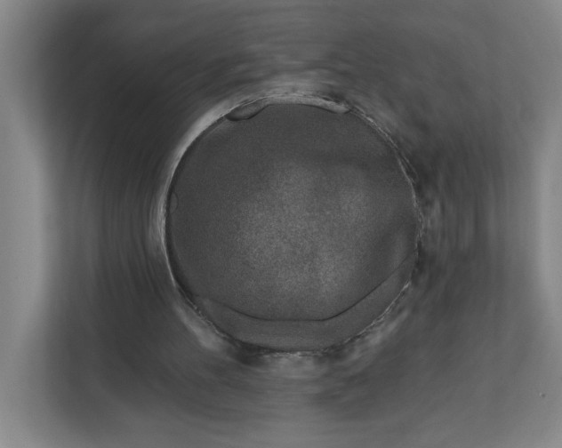 X0000112390100200908271348