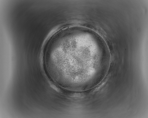 X0000112390101200908271348