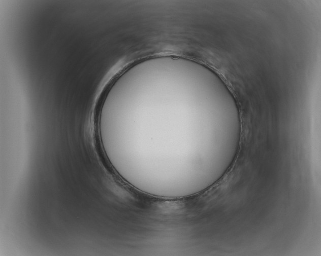 X0000112390102200908271348