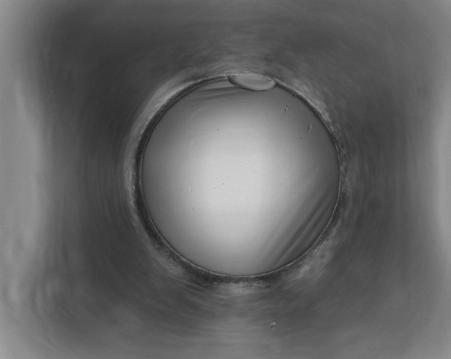 X0000112390103200908271348