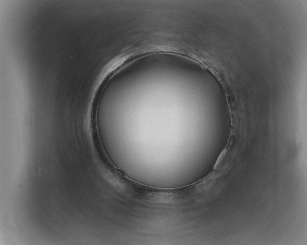 X0000112390104200908271348