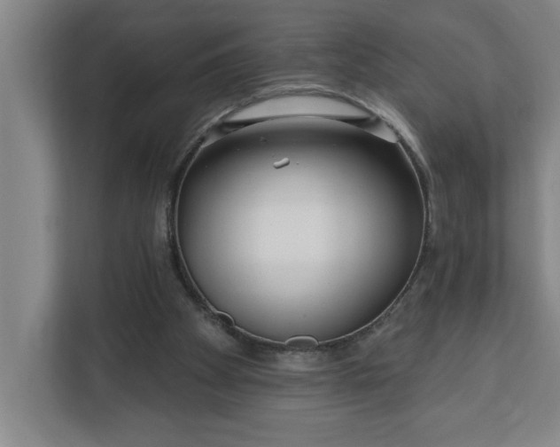 X0000112390105200908271348