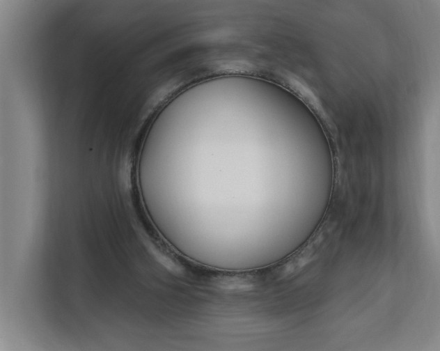 X0000112390106200908271348