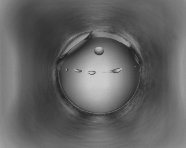 X0000112390107200908271348