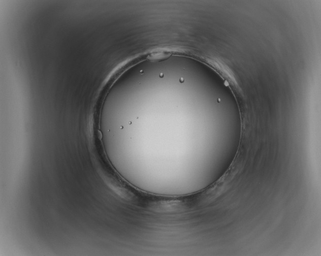 X0000112390108200908271348