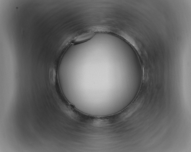 X0000112390109200908271348