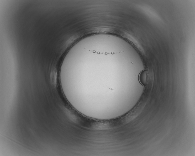 X0000112390110200908271348