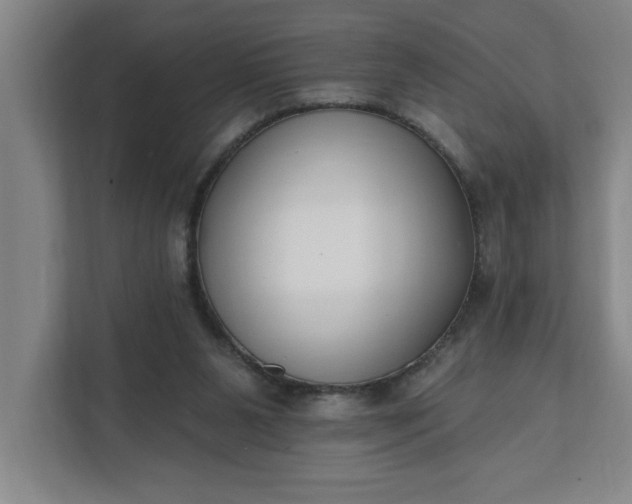 X0000112390111200908271348