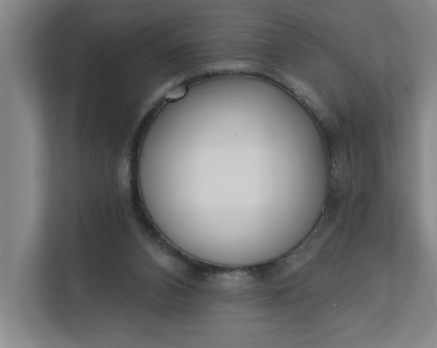 X0000112390112200908271348