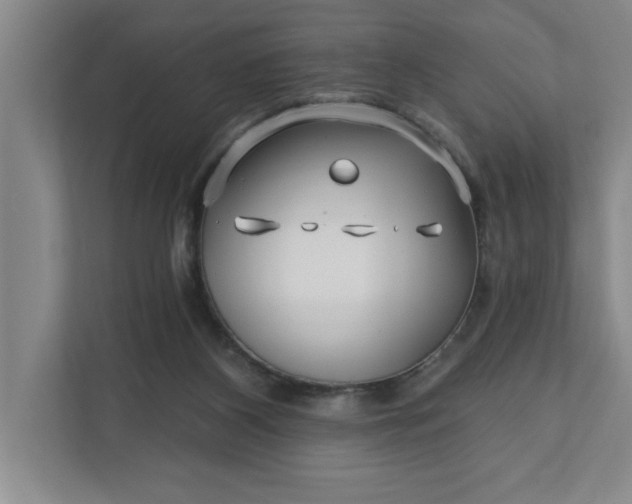 X0000112390116200908271347