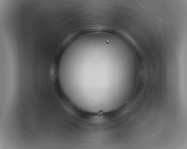 X0000112390119200908271347