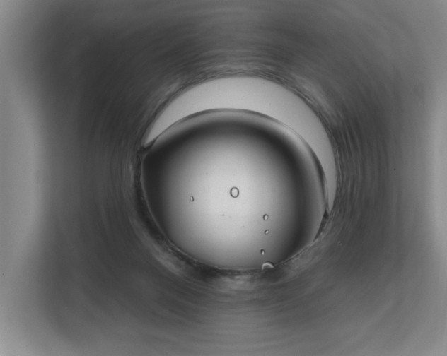 X0000112390120200908271347