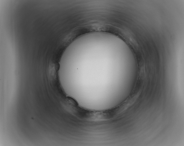 X0000112390121200908271347