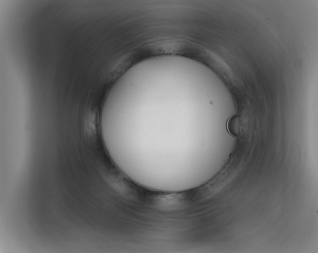 X0000112390122200908271347