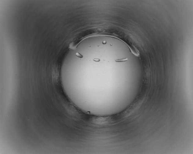 X0000112390129200908271347