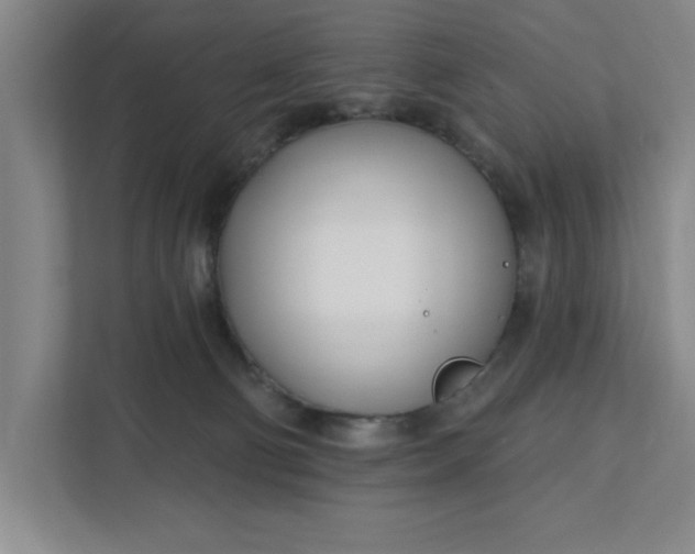 X0000112390130200908271347