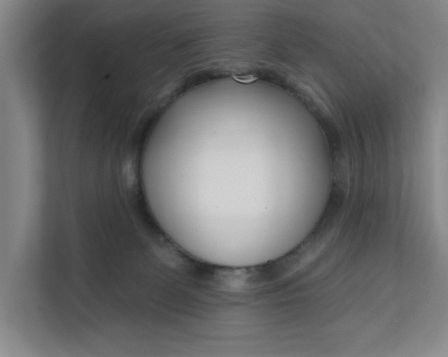 X0000112390131200908271347