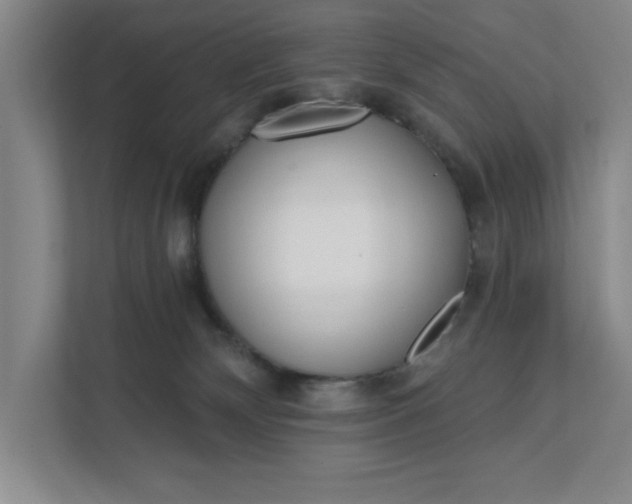 X0000112390132200908271347