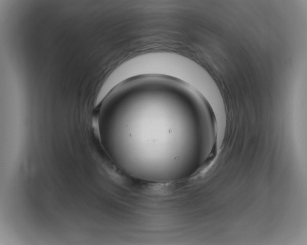 X0000112390136200908271347