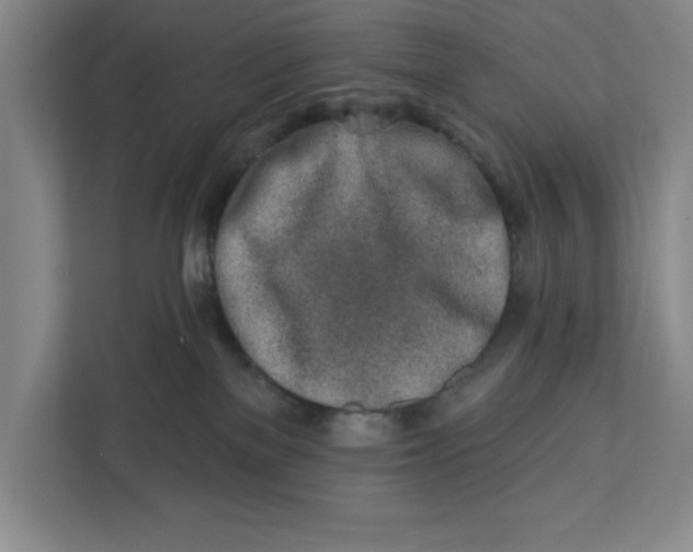 X0000112390137200908271347