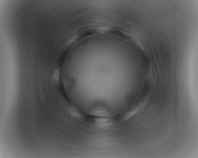 X0000112390139200908271347