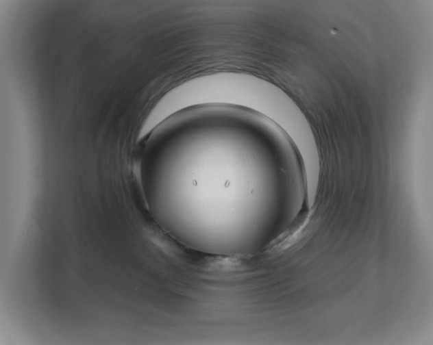 X0000112390140200908271347