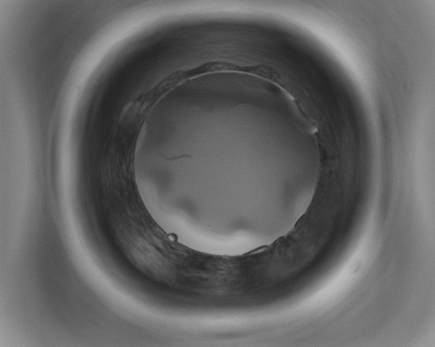 X0000112390143200908271347