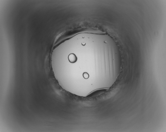 X0000112390144200908271347