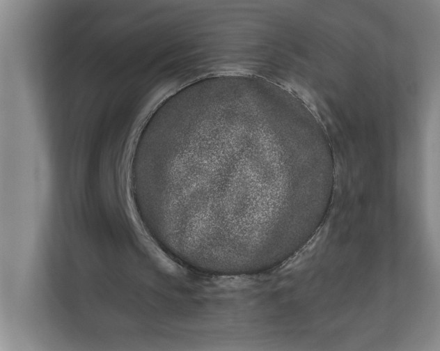 X0000112390145200908271347