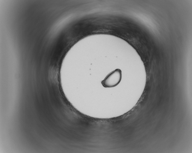 X0000112390146200908271347