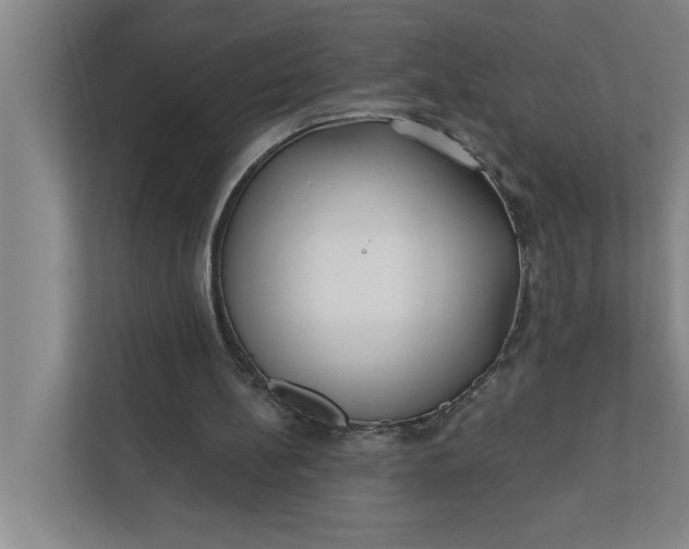 X0000112390148200908271347