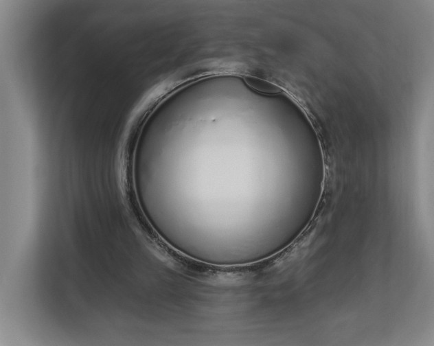 X0000112390149200908271347