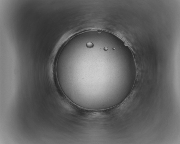 X0000112390151200908271347