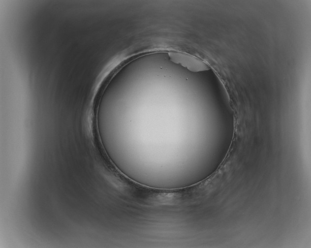 X0000112390152200908271347