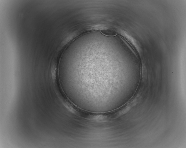 X0000112390153200908271347