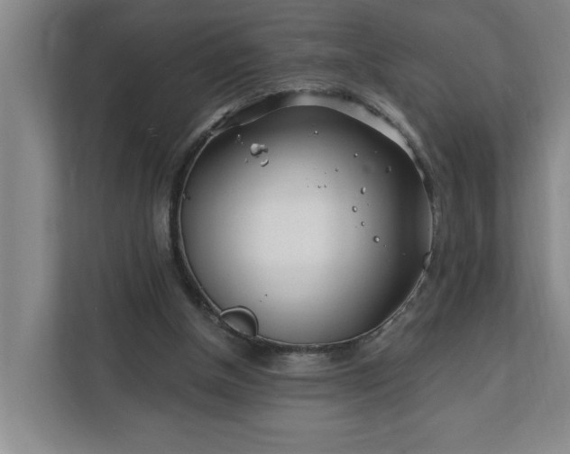 X0000112390154200908271347